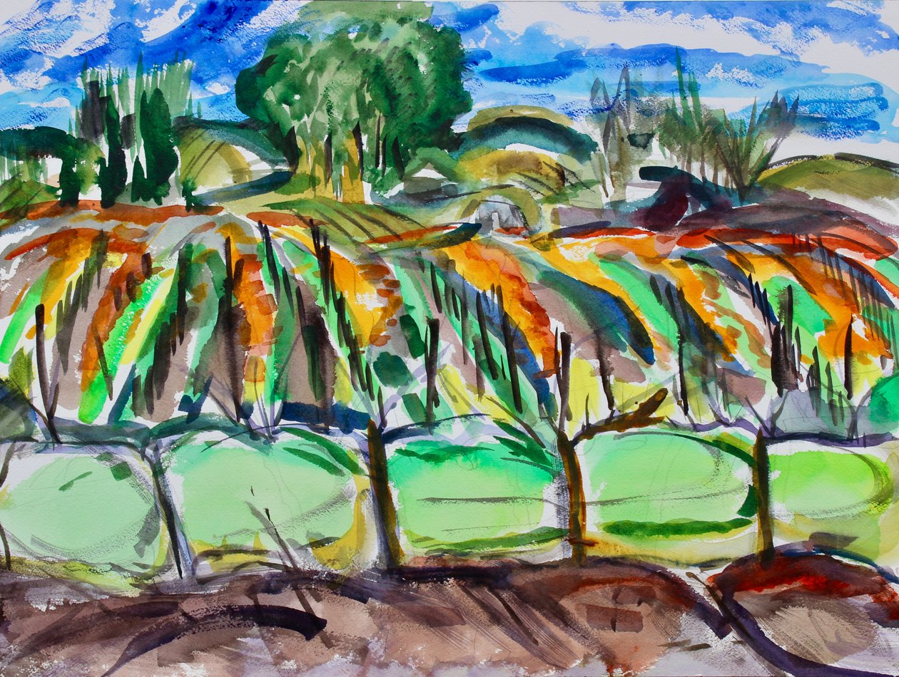Podzimní vinice, Napa, 2017 od Richard Fox