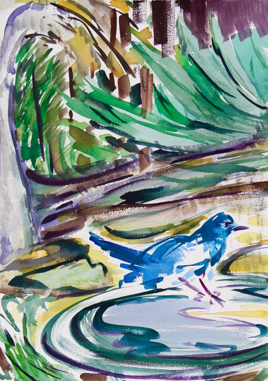 Birdbath, 2021 (akvarel na papíře) od Richard Fox