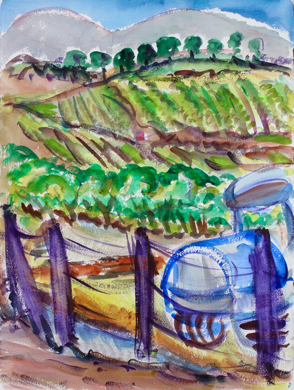 Modrý traktor, Napa Valley, 2017 od Richard Fox