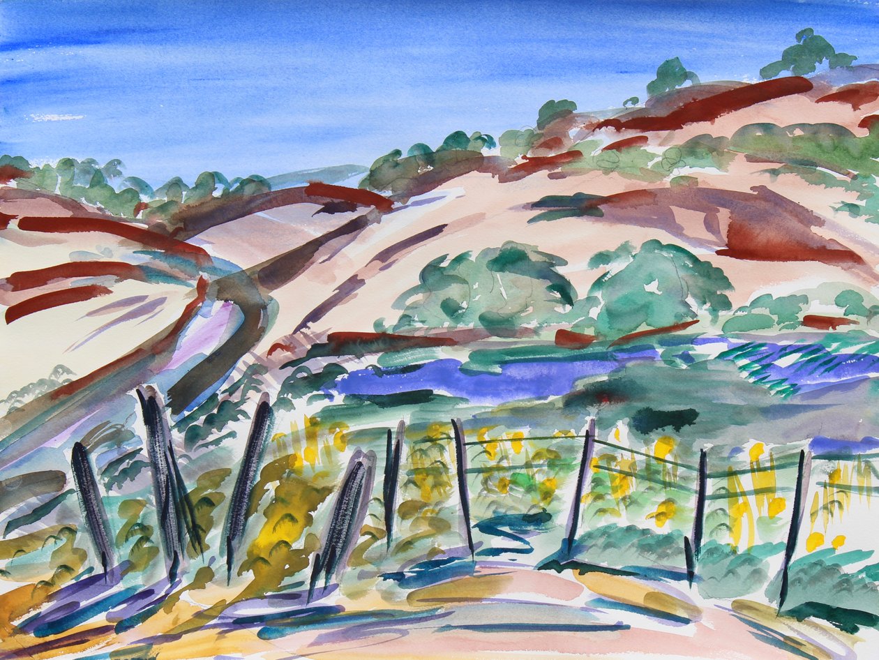 Dry Hills, Severní Kalifornie, 2021 (akvarel na papíře) od Richard Fox
