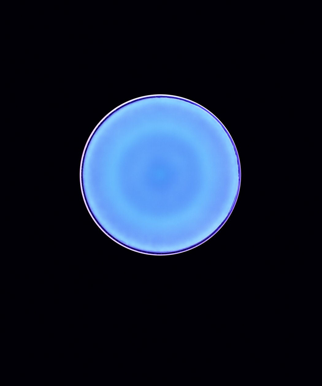 Circle X, 2005 (digitální fotogram typu C) od Richard Green
