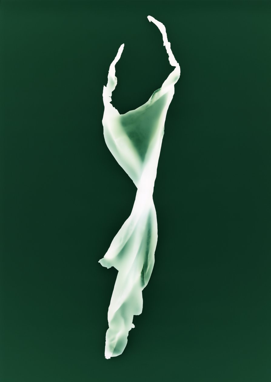 Bez názvu, 2004 od Richard Green