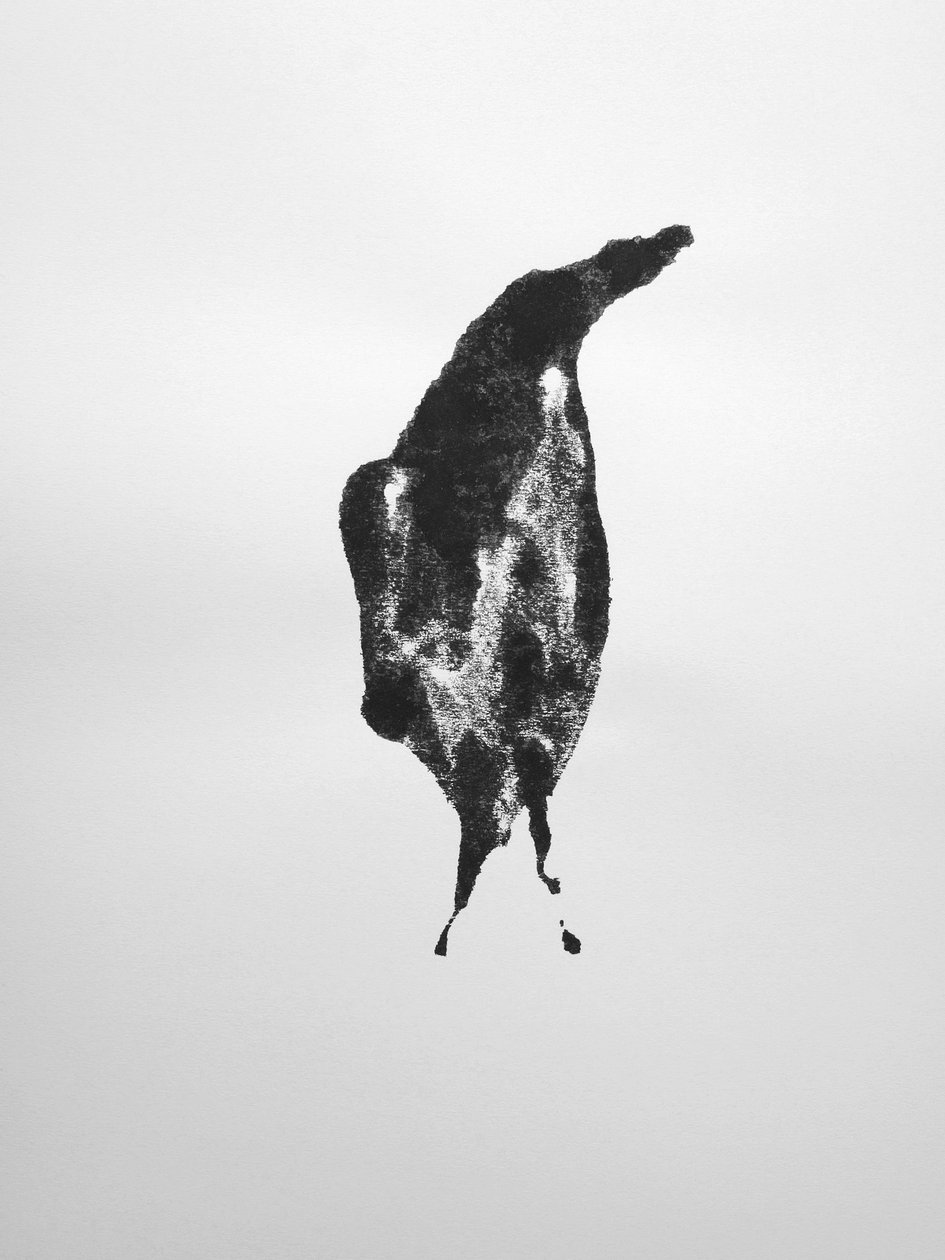 Bez názvu, 2009 (monotyp) od Richard Green