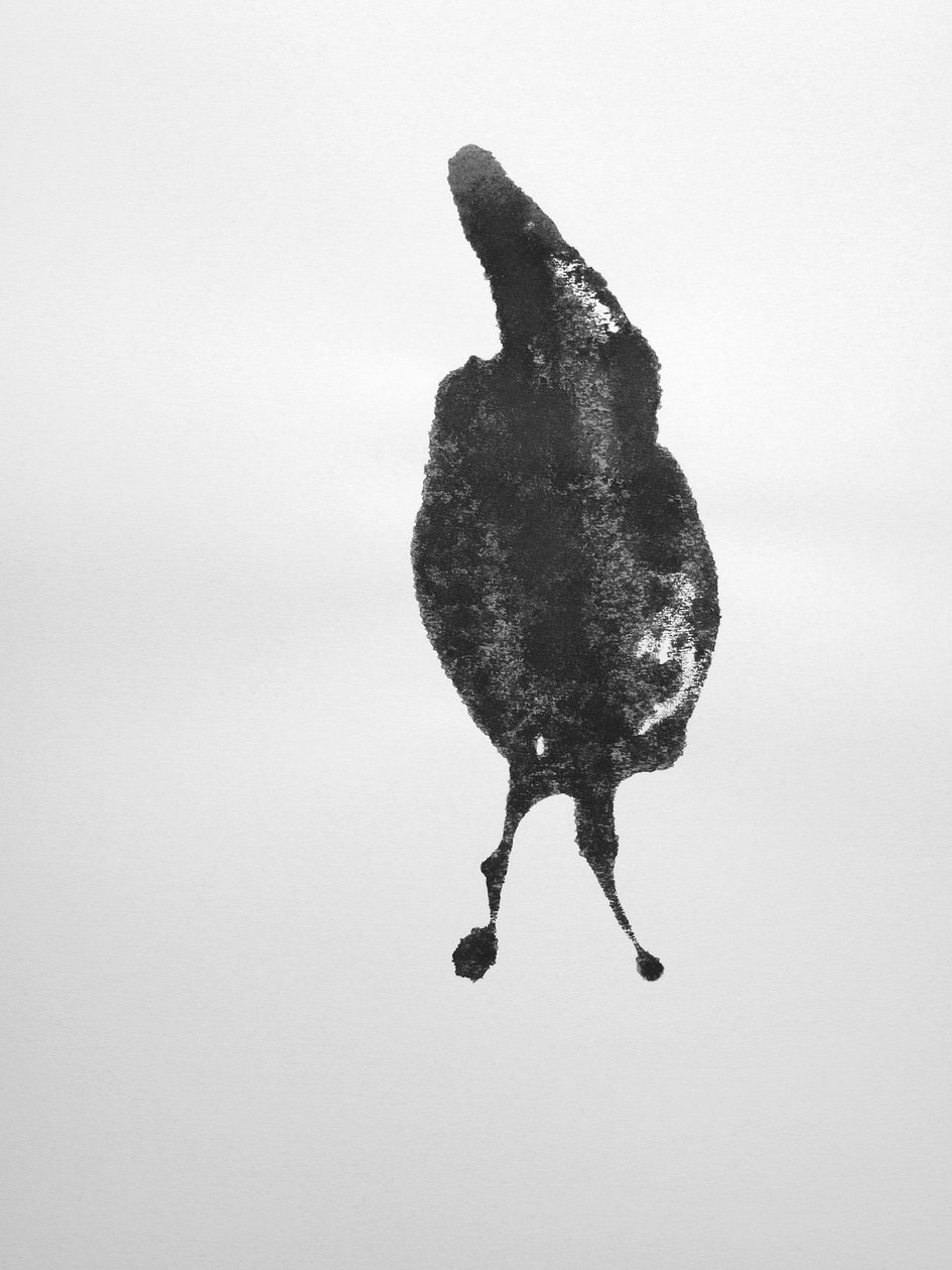 Bez názvu, 2009 (monotyp) od Richard Green