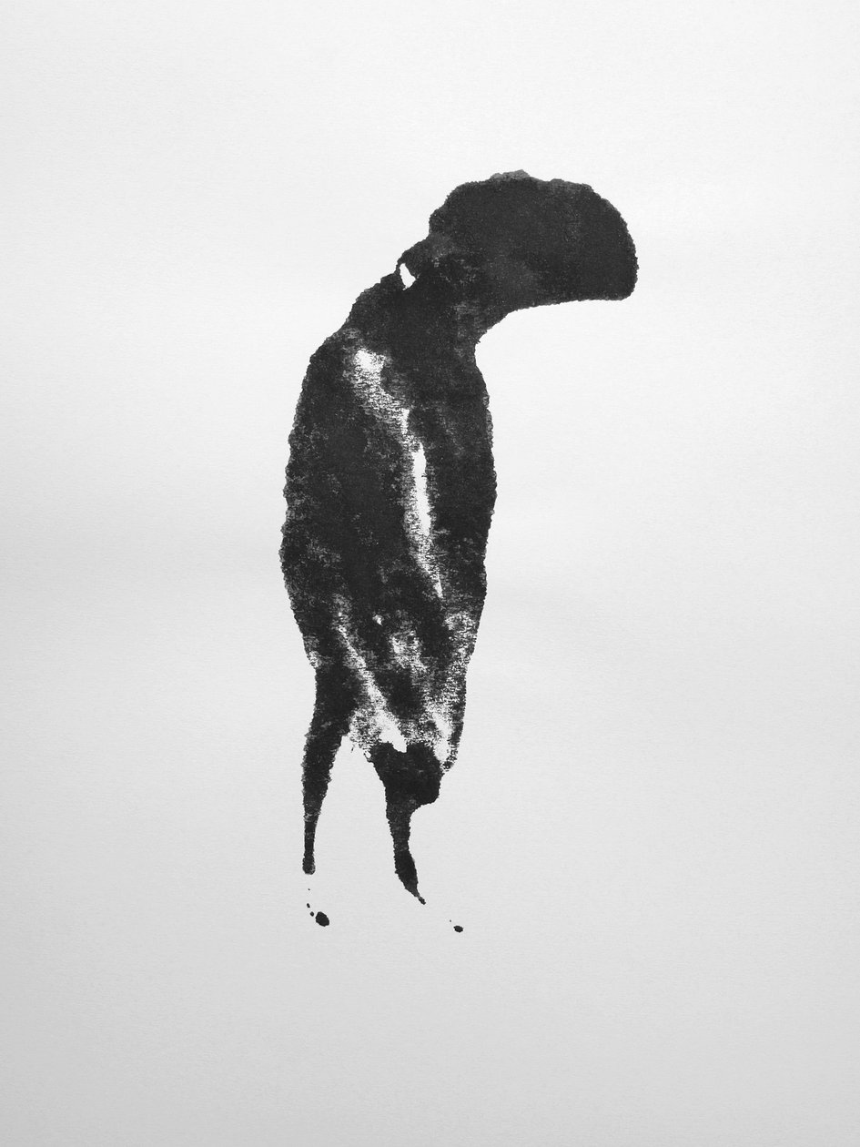 Bez názvu, 2009 (monotyp) od Richard Green
