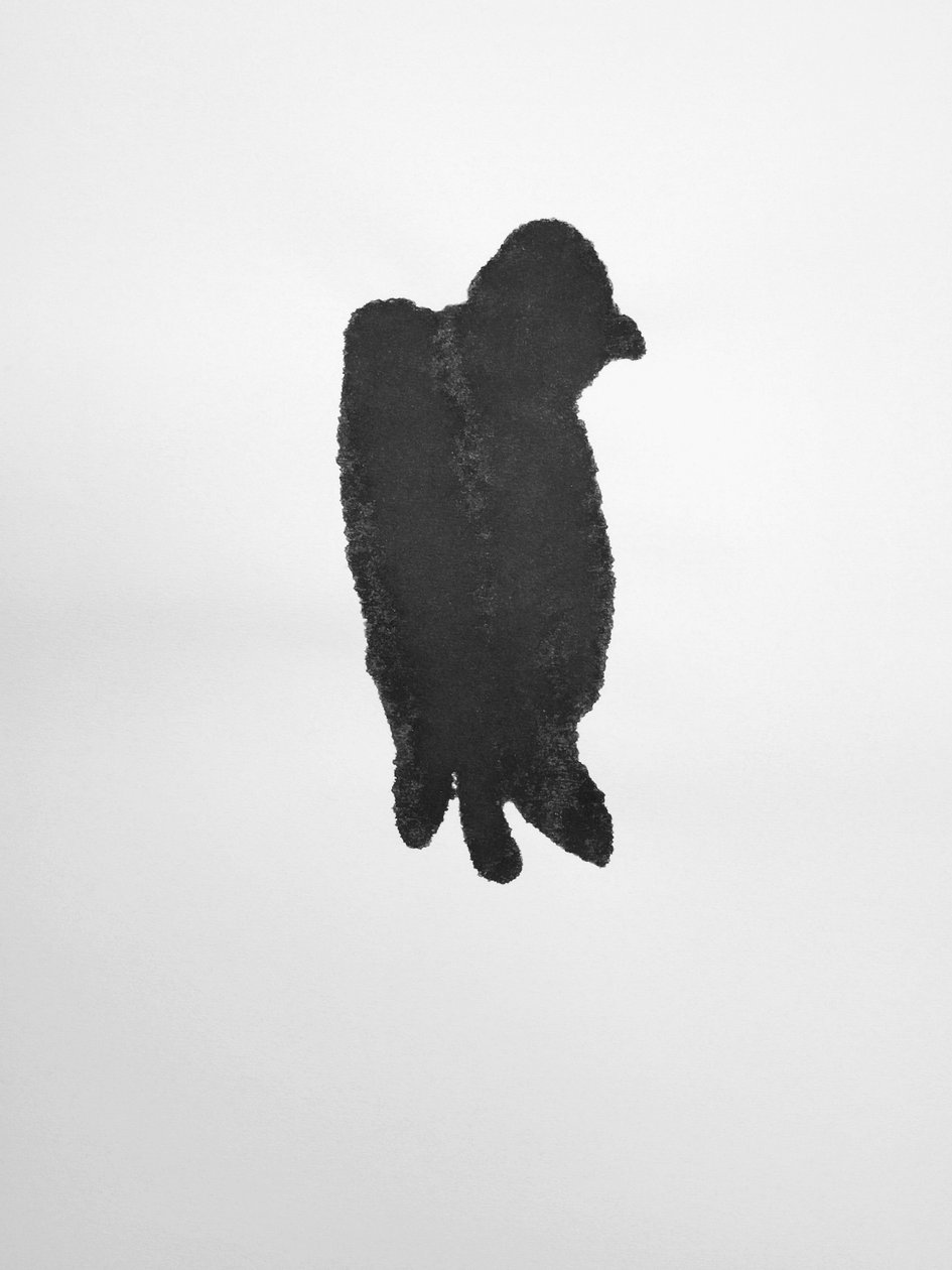 Bez názvu, 2009 (monotyp) od Richard Green