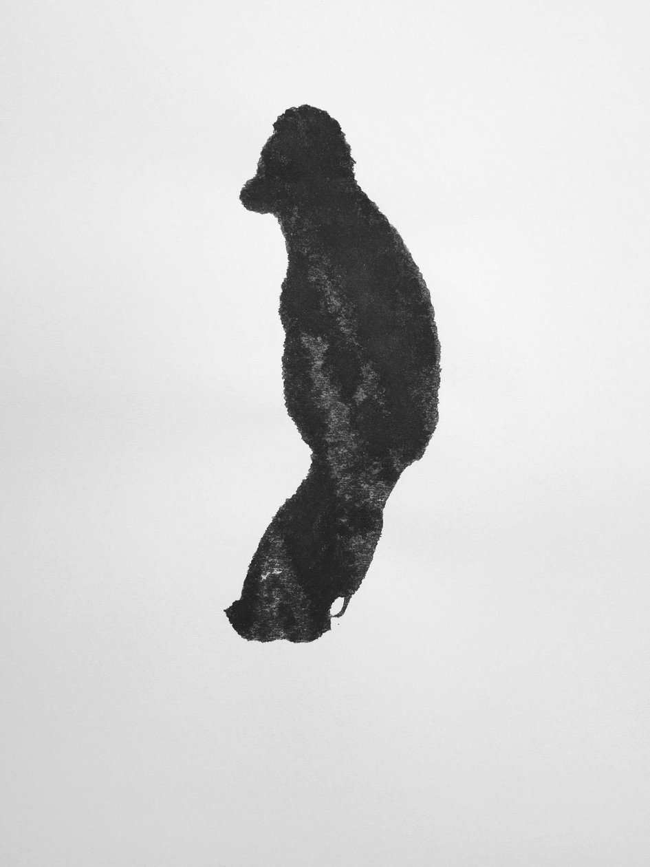 Bez názvu, 2009 (monotyp) od Richard Green