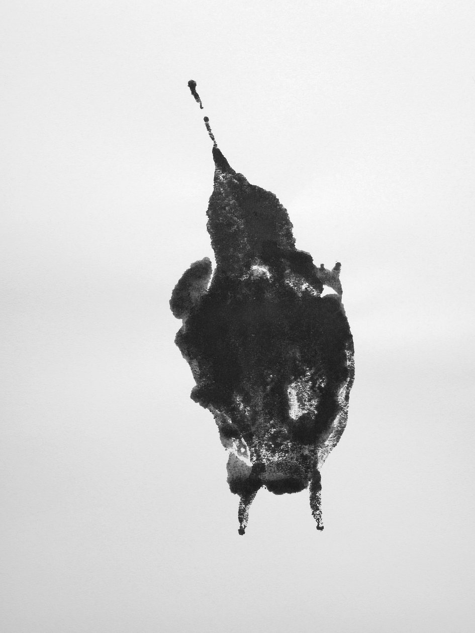 Bez názvu, 2009 (monotyp) od Richard Green