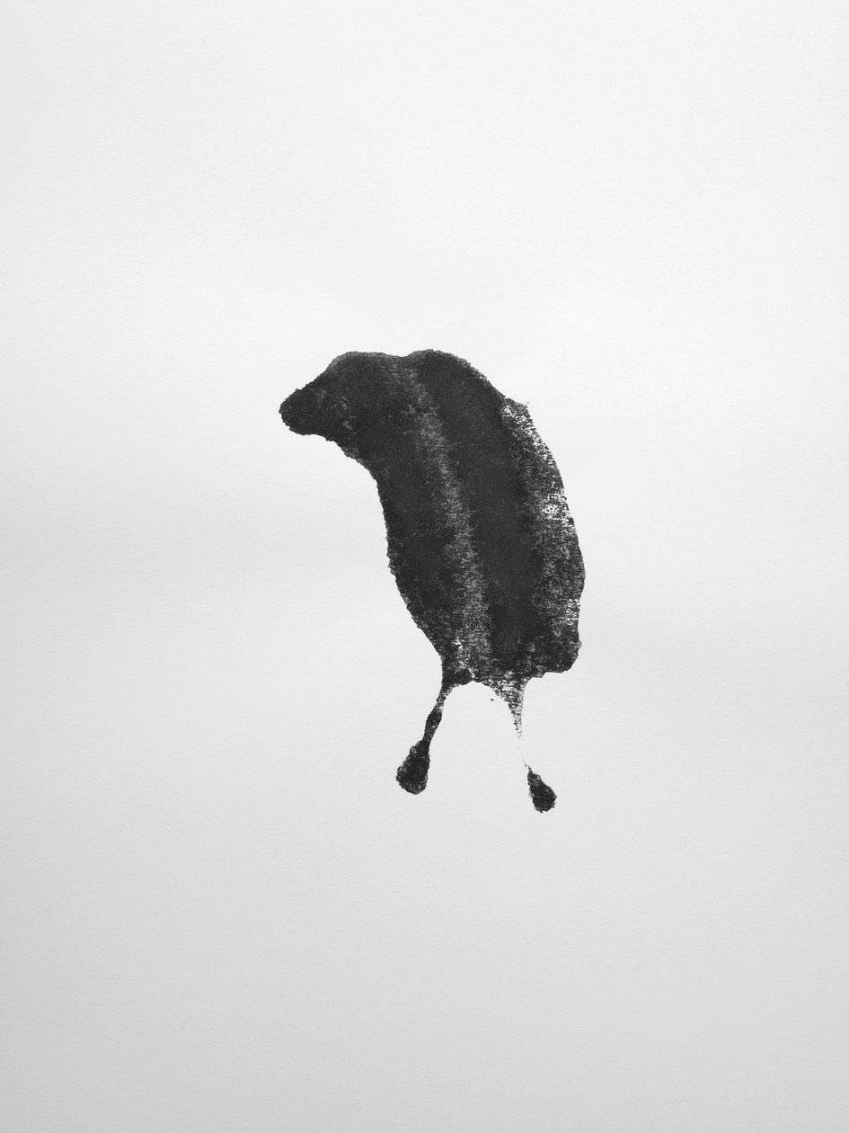 Bez názvu, 2009 (monotyp) od Richard Green