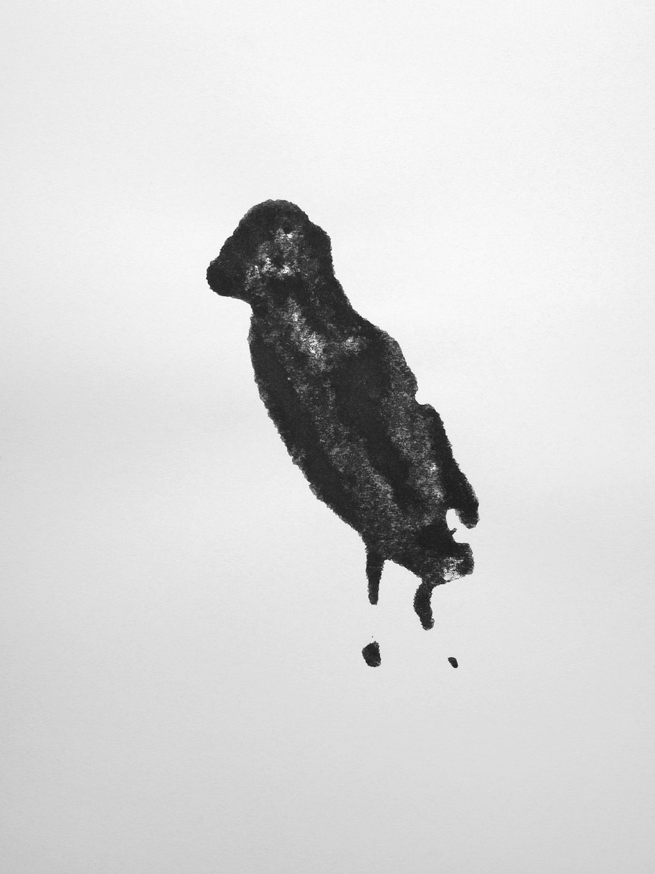 Bez názvu, 2009 (monotyp) od Richard Green