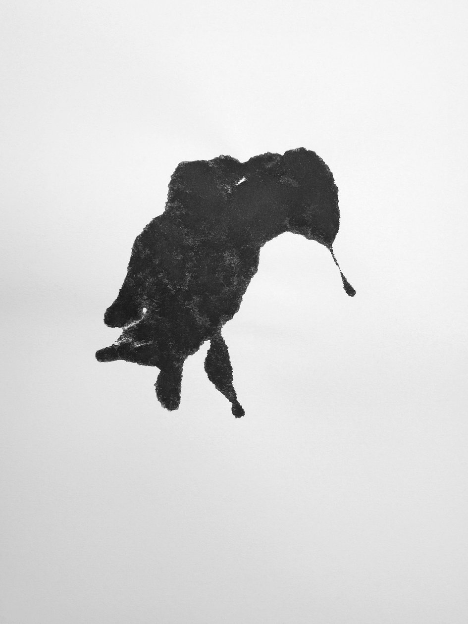 Bez názvu, 2009 (monotyp) od Richard Green