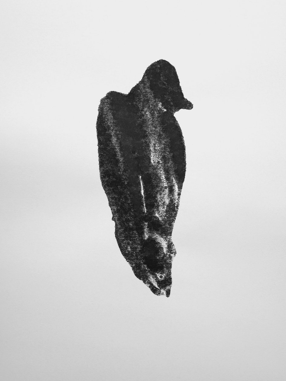 Bez názvu, 2009 (monotyp) od Richard Green