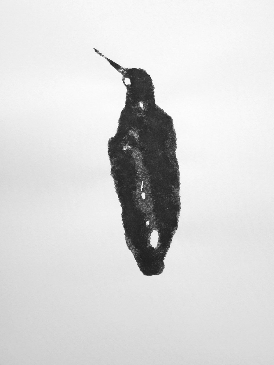 Bez názvu, 2009 (monotyp) od Richard Green