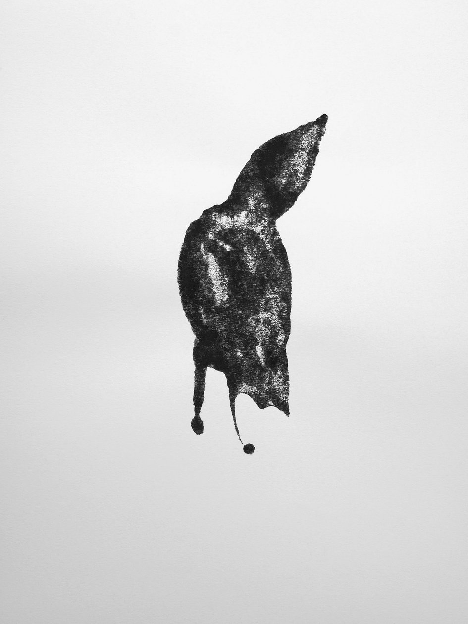 Bez názvu, 2009 (monotyp) od Richard Green