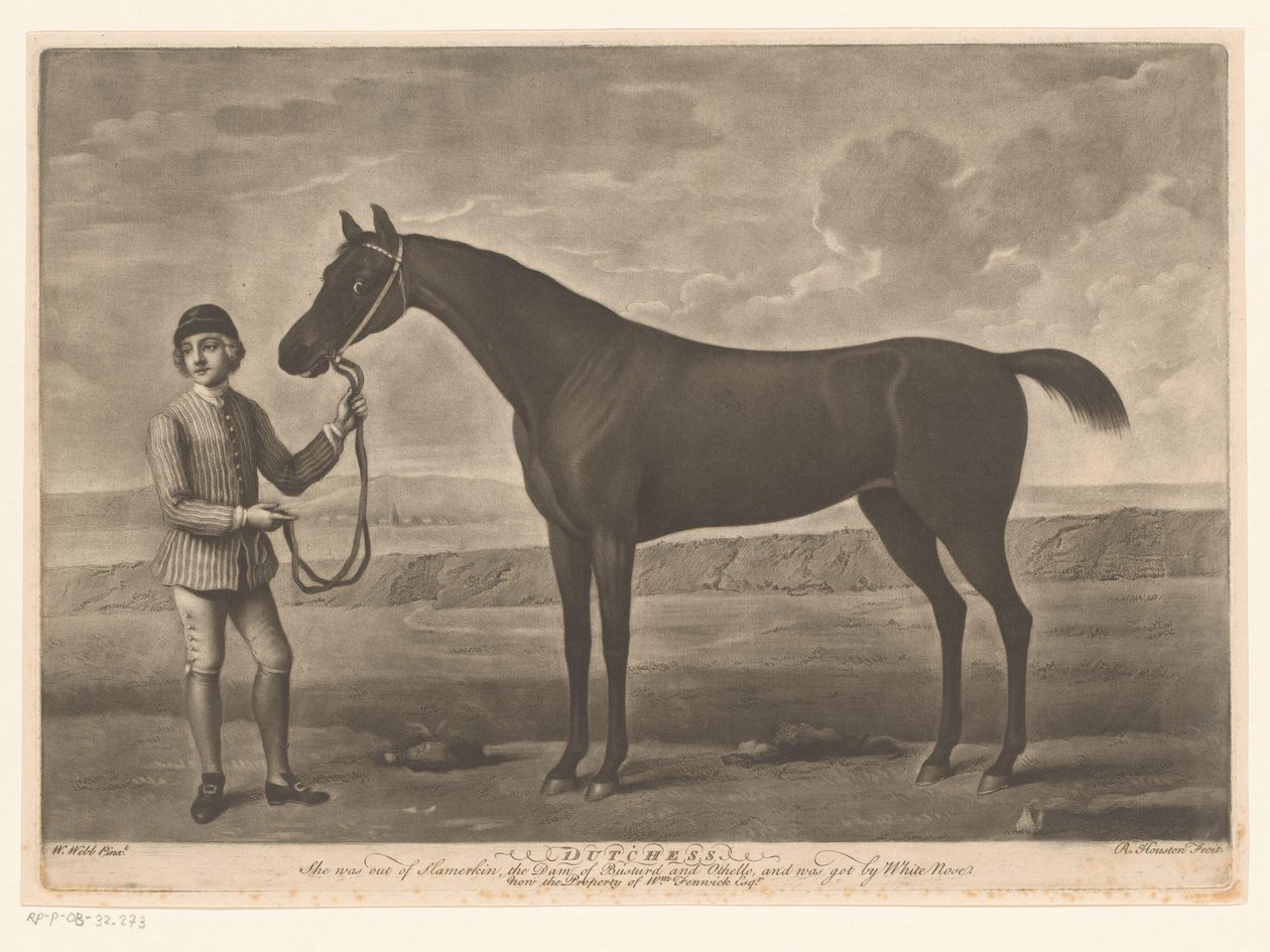 Racepaard se setkal s žokejem Holanďanka od Richard Houston