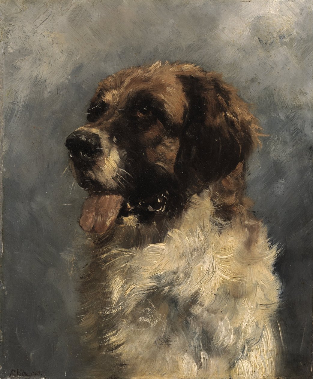 Bernhardiner Hund od Richard Voltz