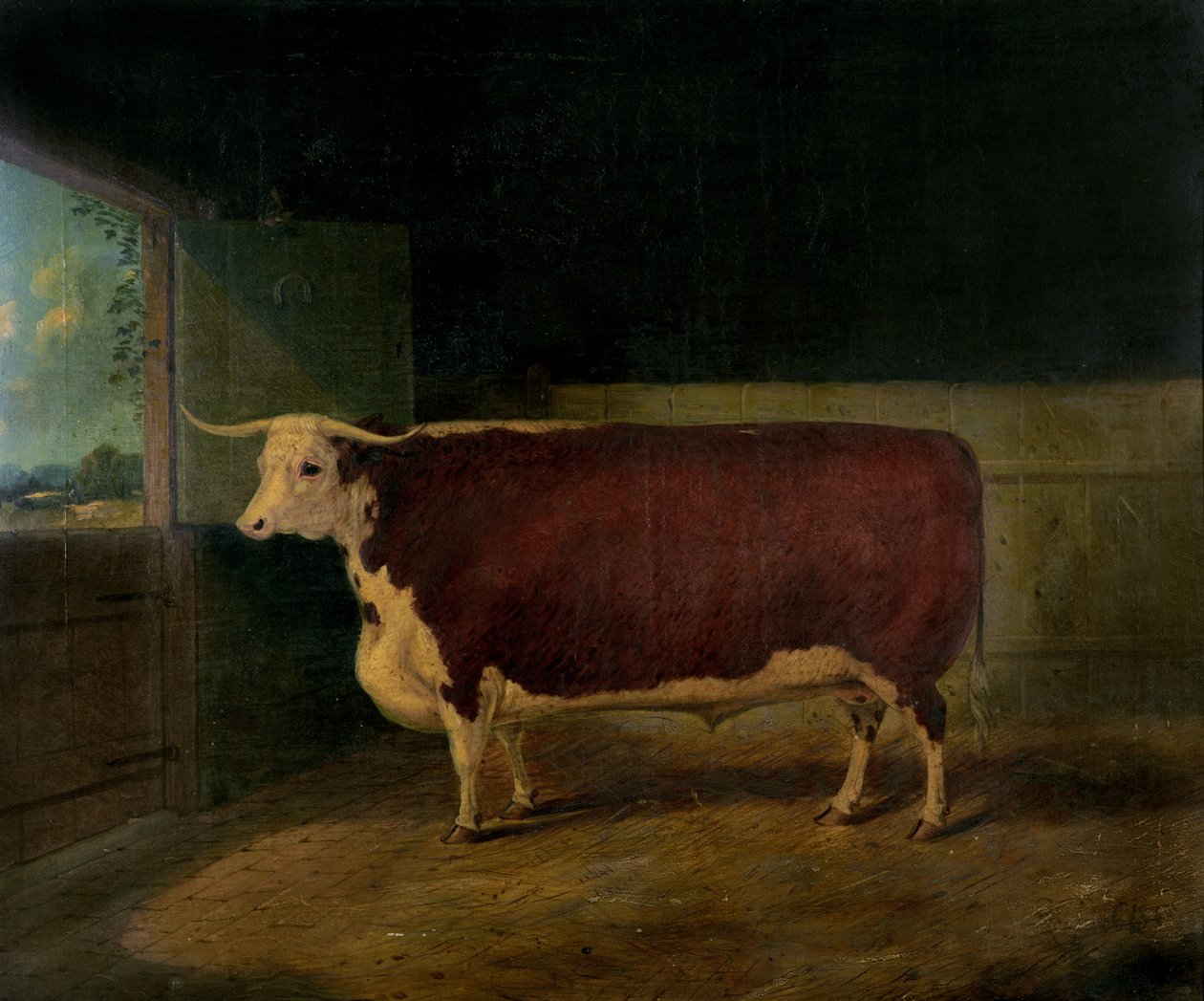 Portrét ceněného herefordského býka, 1874 od Richard Whitford