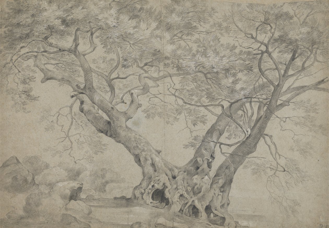 Arbra Sacra na břehu jezera Nemi, c.1754-56 (černá a bílá křída na papíře) od Richard Wilson