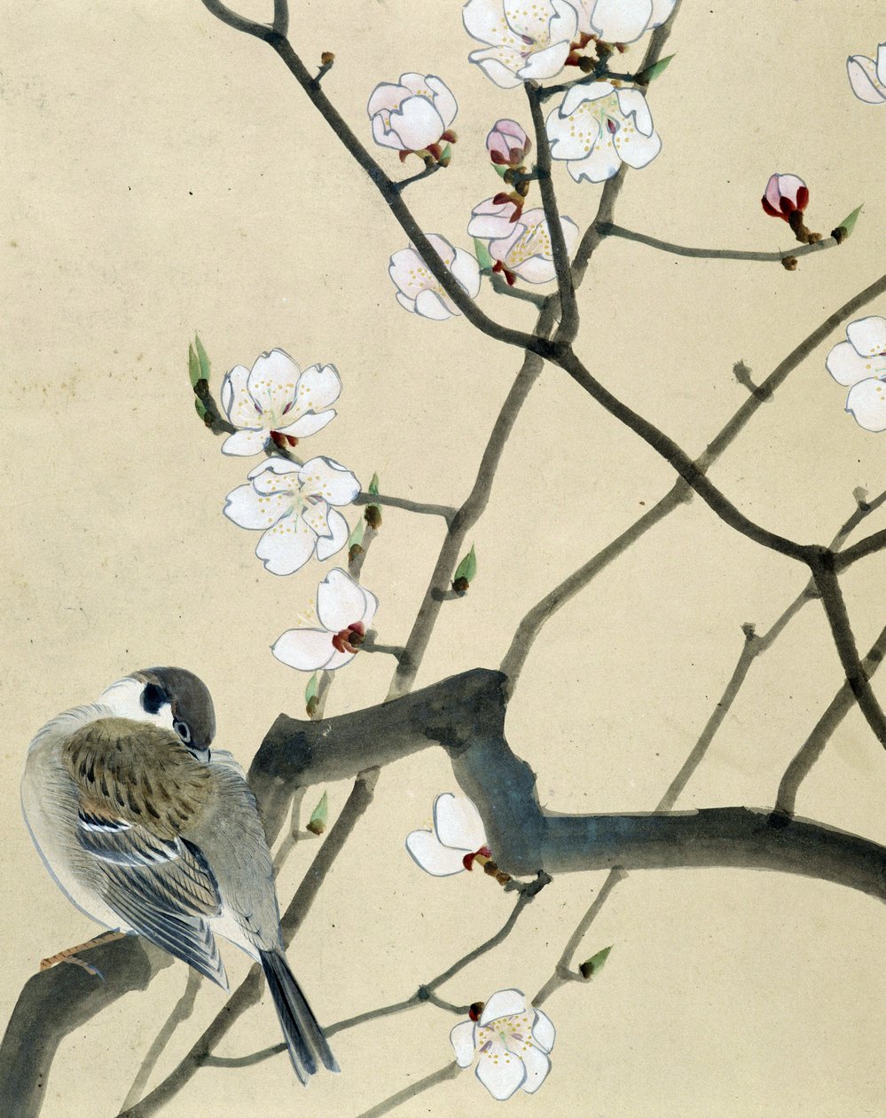 Bird - japonská kresba Riou Chim, konec 19. století od Riu Chim