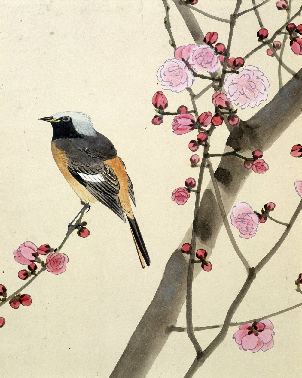 Bird - japonská kresba Riou Chim, konec 19. století od Riu Chim