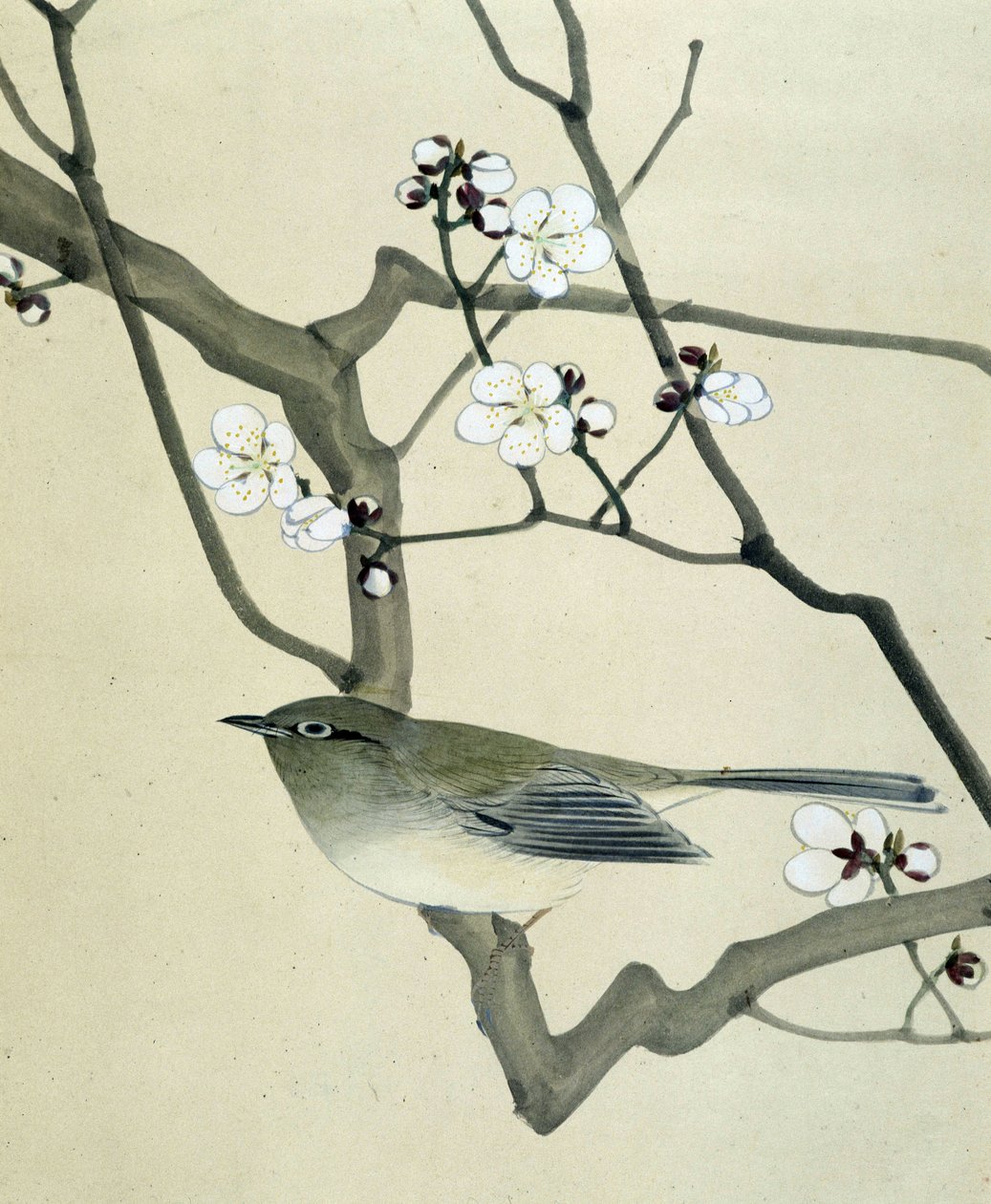 Bird - japonská kresba Riou Chim, konec 19. století od Riu Chim