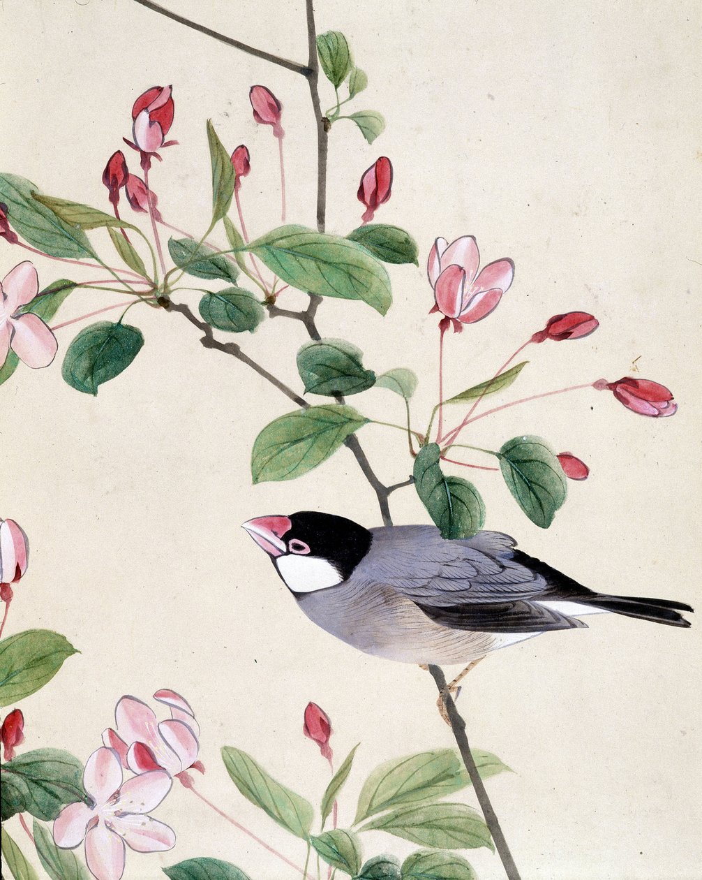 Bird - japonská kresba Riou Chim, konec 19. století od Riu Chim