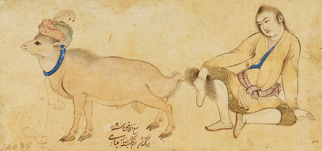 Studie mladého muže a berana, 1630-31 nebo později od Riza i Abbasi