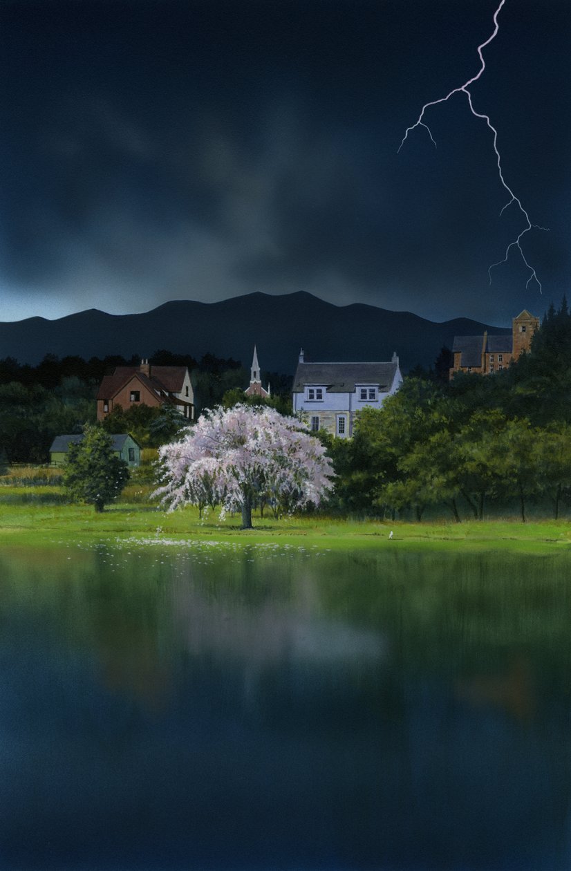 Nejkrutější měsíc, 2008 (akryl na desce) od Rob Wood