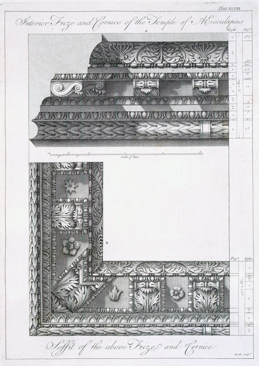 Vnitřní vlys a římsa Aesculapiova chrámu, z „Ruiny paláce císaře Diokleciána ve Spalatro v Dalmácii“, vydané 1764 od Robert Adam