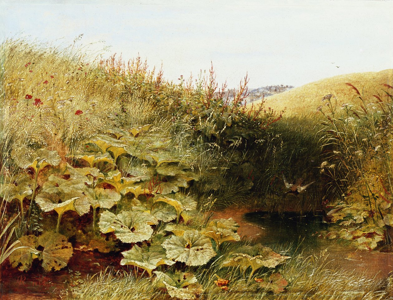 Tichý Dell od Robert Collinson