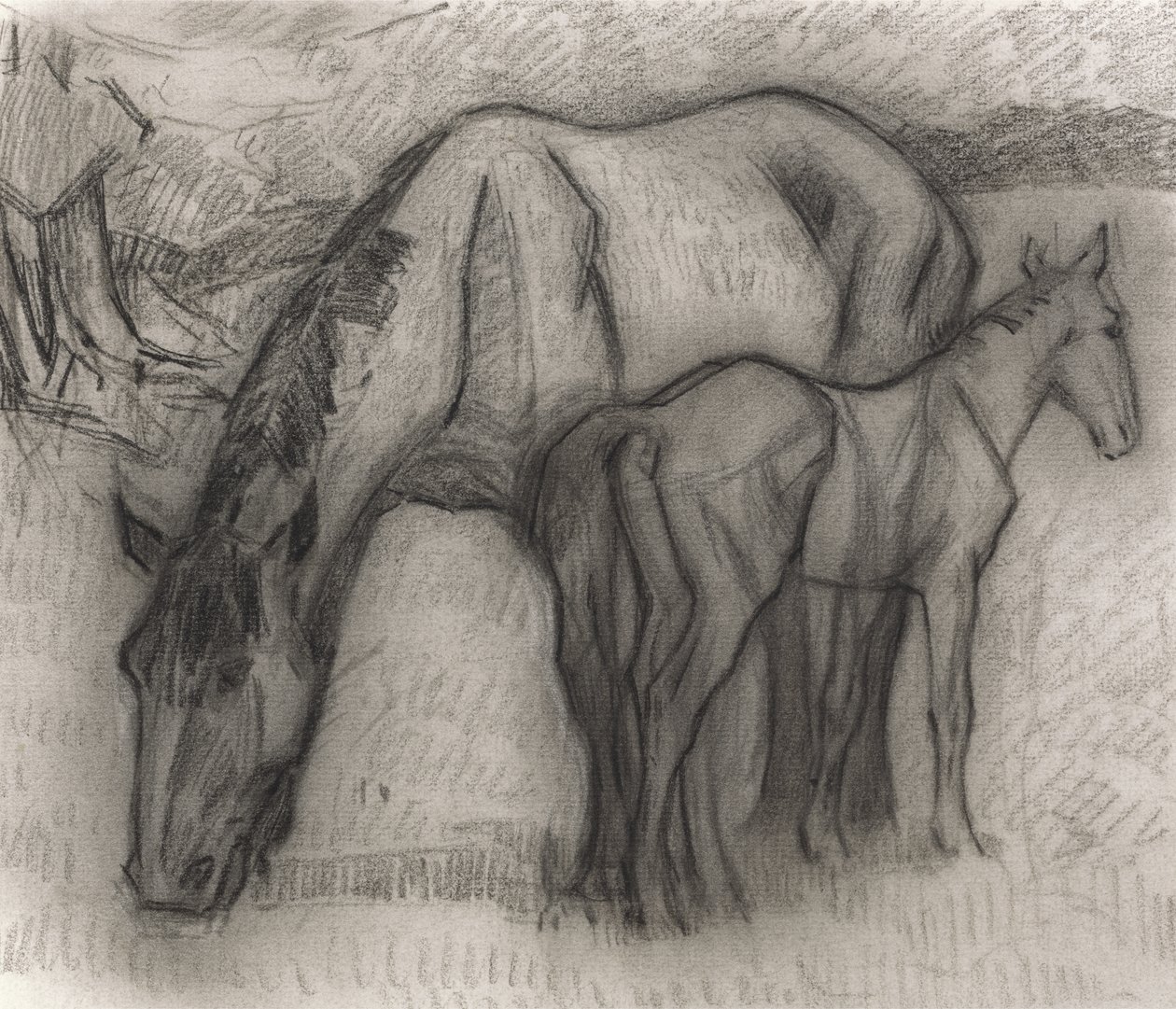Study for Mare and Foal, Lytchetts, Clayhidon, 1917 (černá pastelka na papíře) od Robert Polhill Bevan