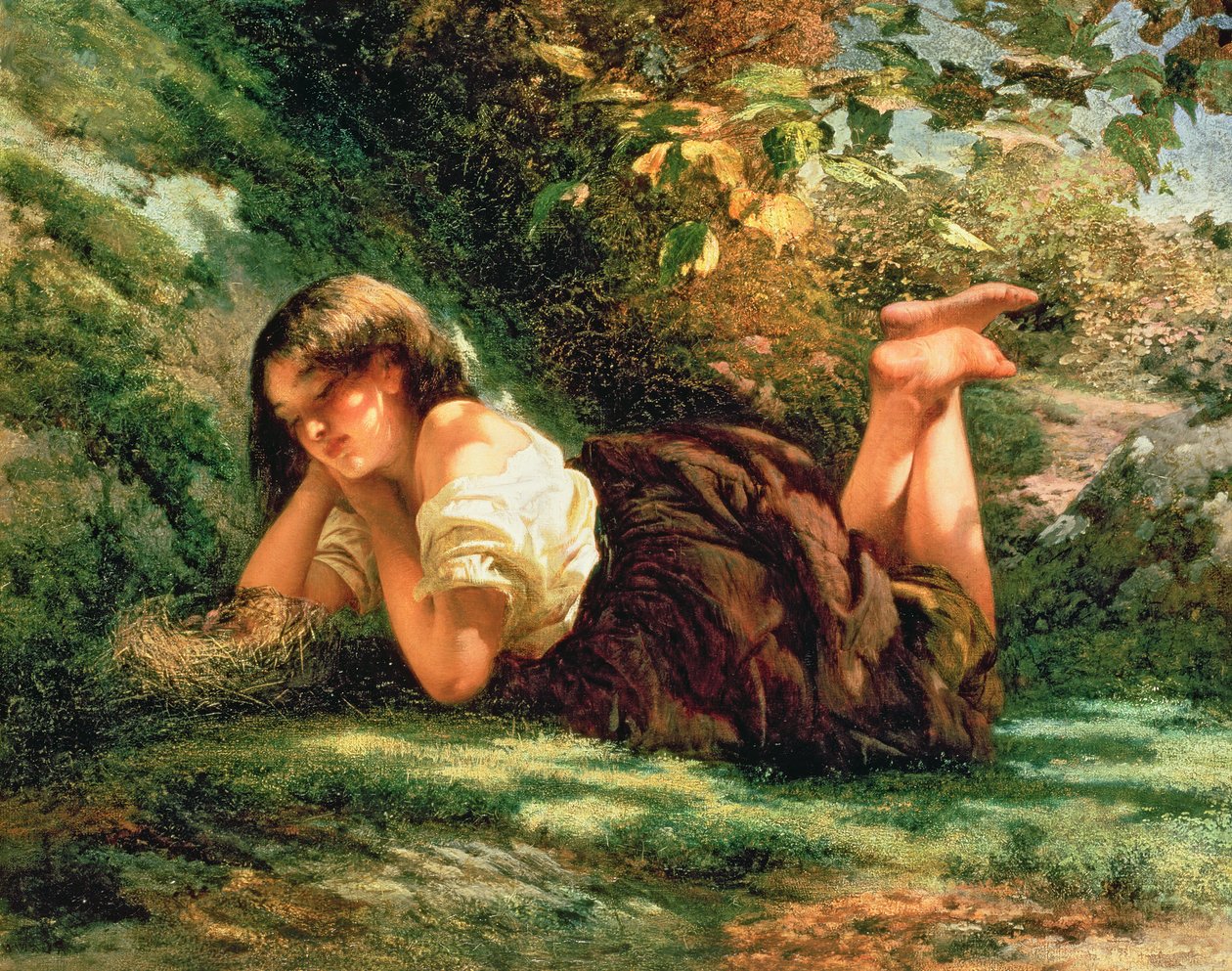 Hnízdo od Robert RSA Gavin