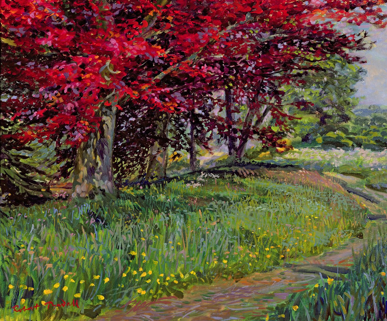 Měděné buky, New Timber, Sussex od Robert Tyndall