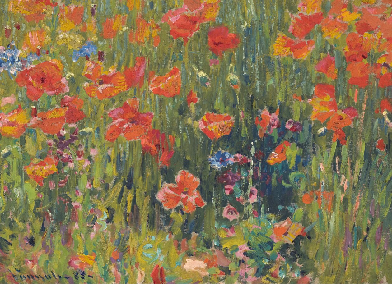 Vlčí mák od Robert William Vonnoh