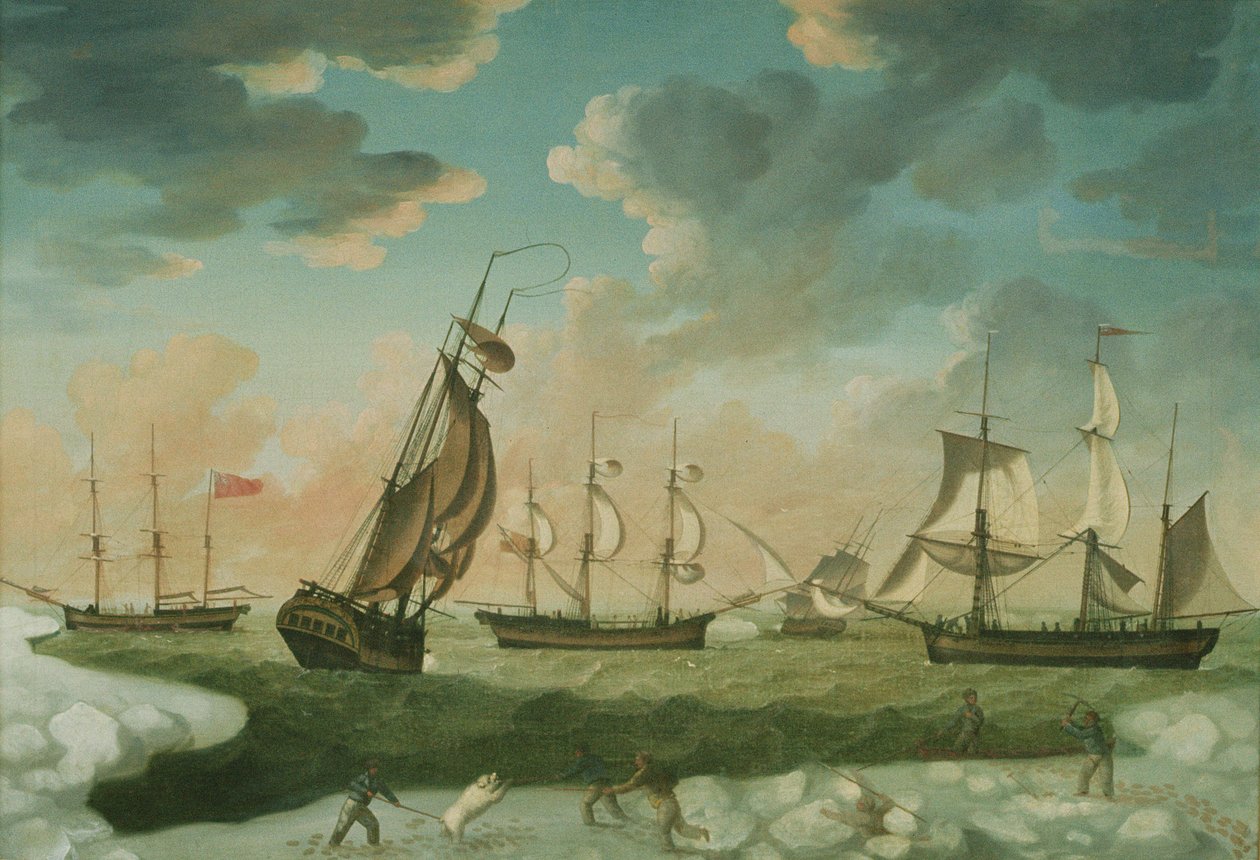 Arktická scéna od Robert Willoughby