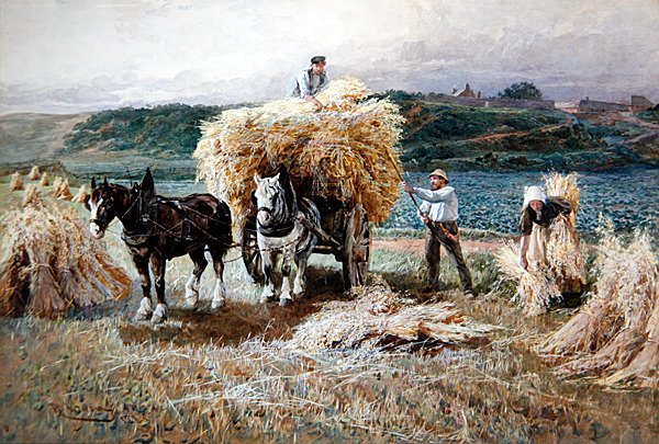 Senoseč od Robert Anderson