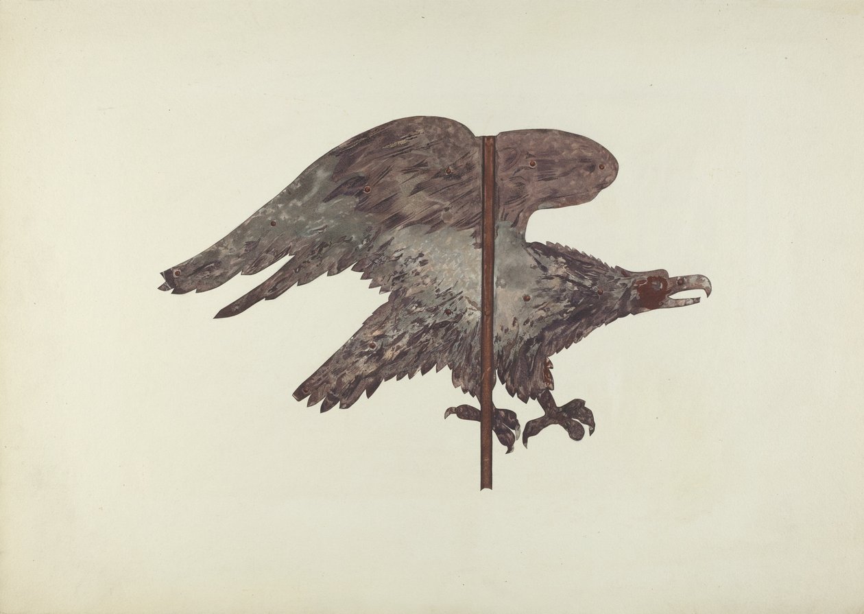 Letící orel korouhvička od Robert Barton