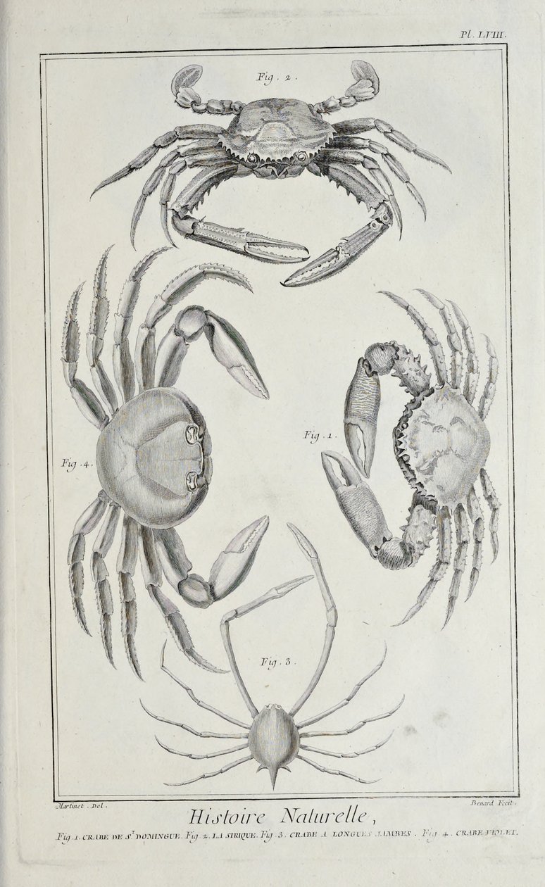 Krabi, ilustrace ze „Sbírky desek, o vědách, svobodných uměních a mechanických uměních s jejich vysvětlením“ od Denise Diderota od Robert Benard