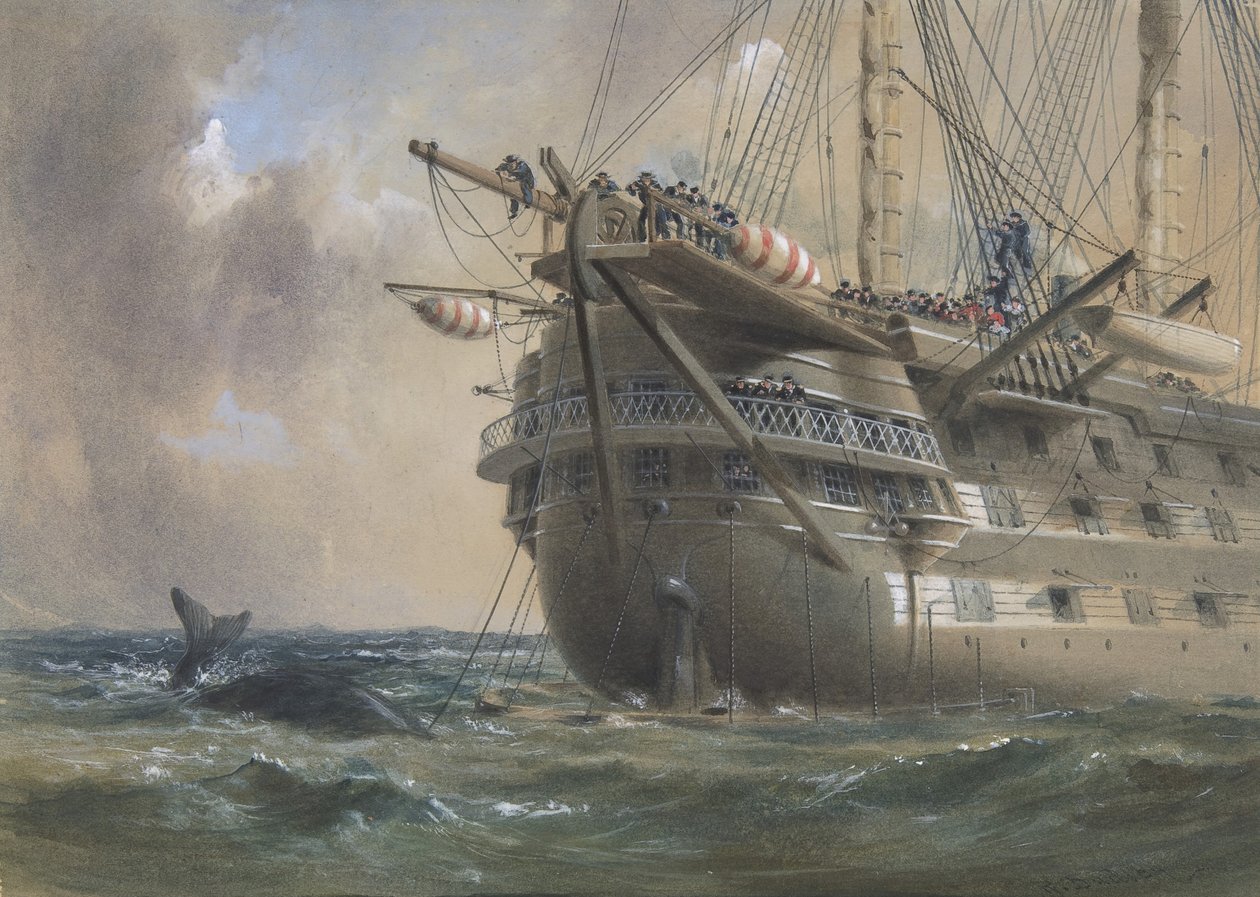 H.M.S. Agamemnon položení atlantického telegrafního kabelu v roce 1858: velryba překročí linii, 1865-66. od Robert Charles Dudley