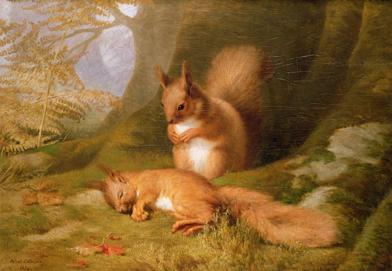 Veverky v lese, 1874 od Robert Collinson