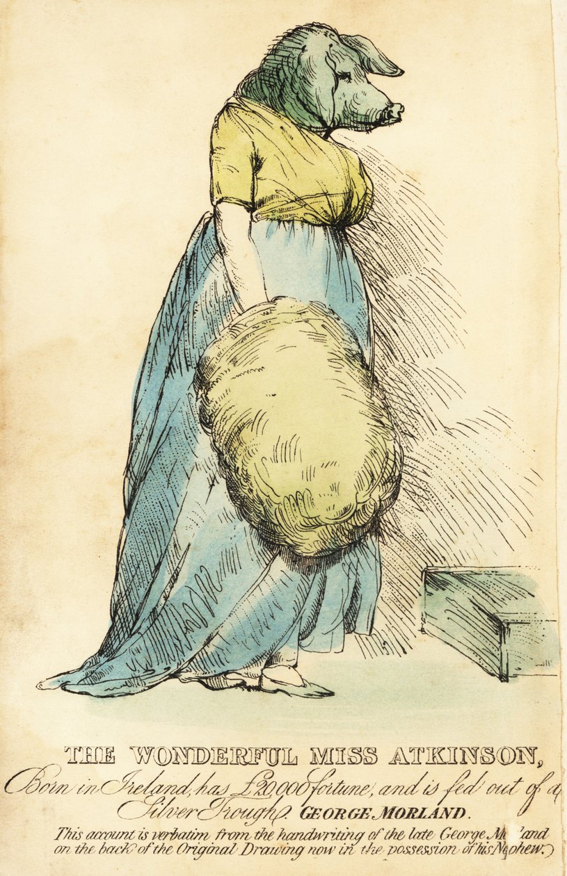 Dáma s prasečí tváří, známá v Londýně kolem roku 1815. od Robert Cooper