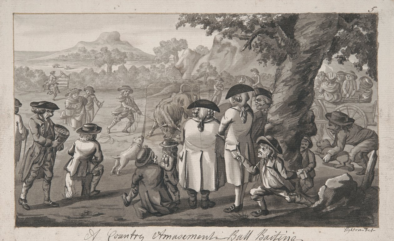 Country Zábava - Bull Baiting od Robert Dighton
