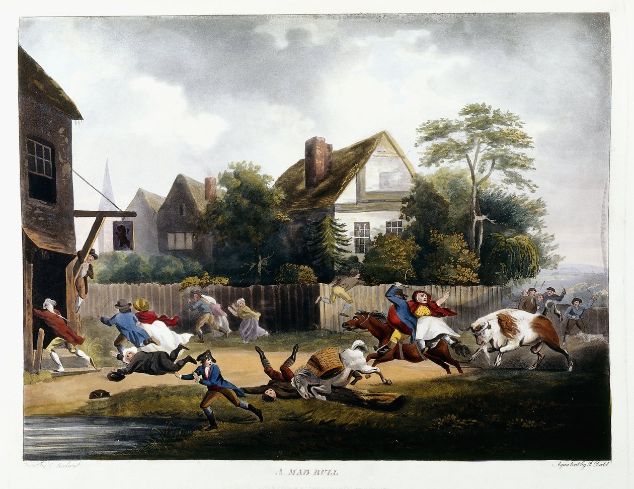 Šílený býk, 1806 od Robert Dodd