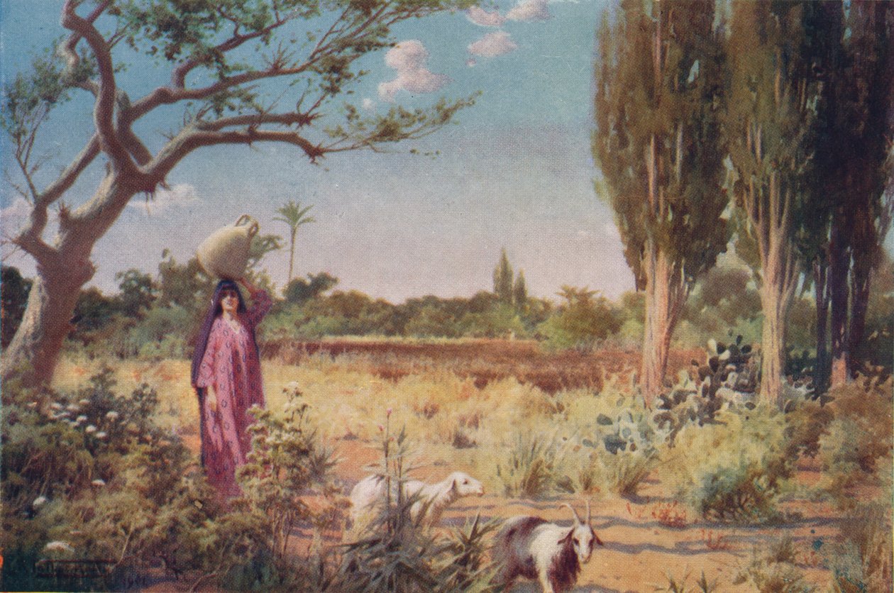 Pastorální poblíž Damietta, c1880, 1904 od Robert George Talbot Kelly