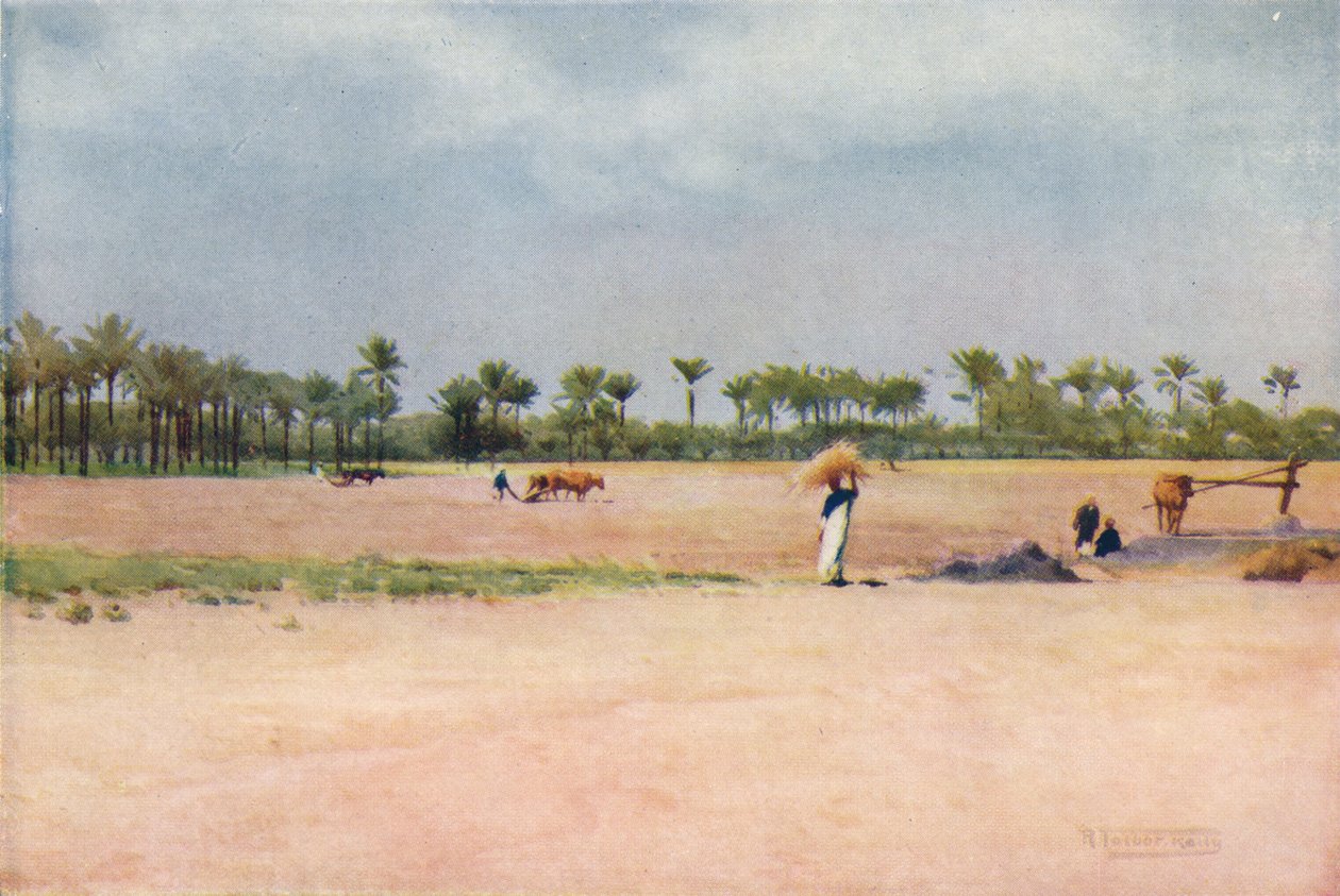 Esbet-El-Ekiad - Země Gošen, c1880, 1904 od Robert George Talbot Kelly