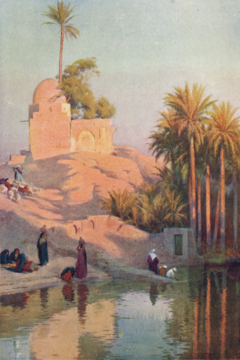 V oáze Fayum, c1880, 1904 od Robert George Talbot Kelly