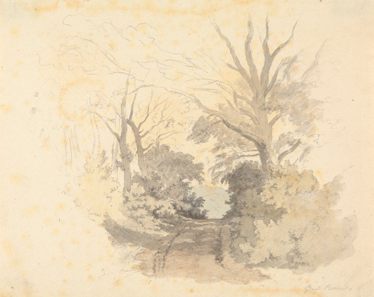 A Lane, Great Borside od Robert Hills