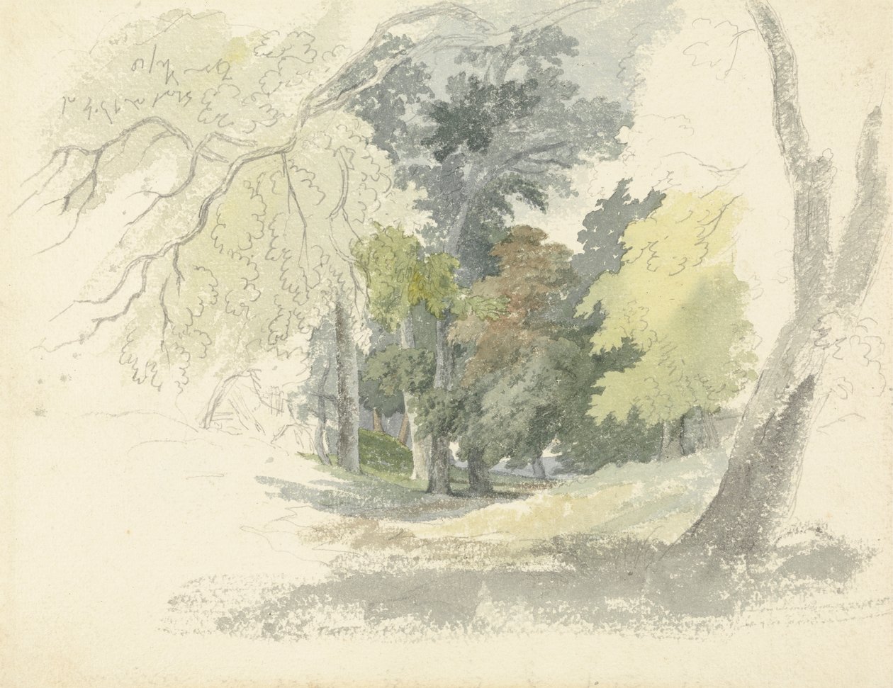 Woodland Glade od Robert Hills