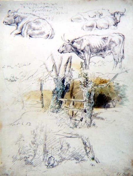Studie skotu od Robert Hills