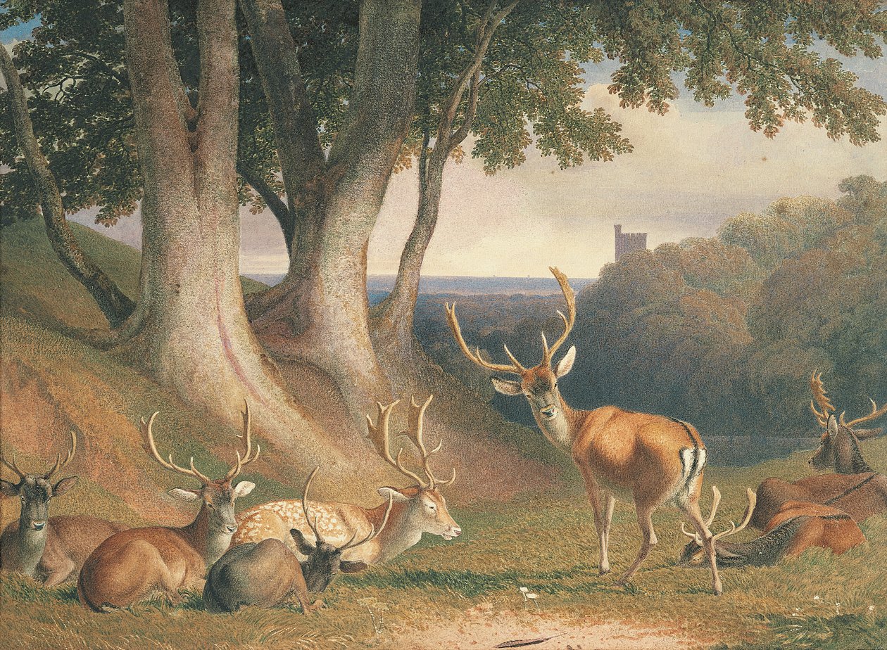 Krajina s jelenem, kolem roku 1800 (tužka a akvarel na papíře) od Robert Hills